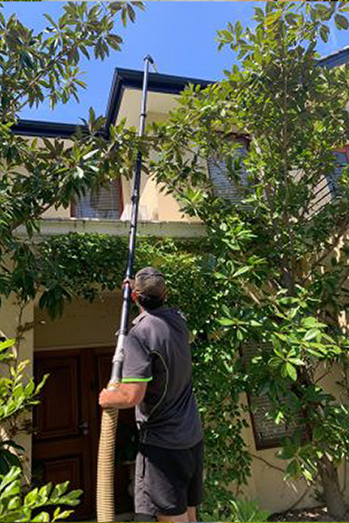 Vacuum gutter cleaning on home